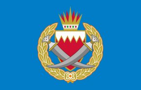 ADHRB: وزارة الداخلية في البحرين، قمع ممنهج، ووحشية