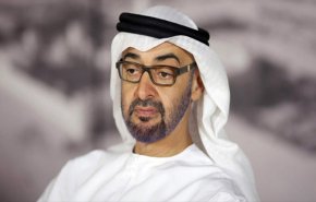 المعارضة الألمانية تطالب بموقف واضح من بن زايد بشأن اليمن