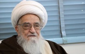المرجع الصافي يستهجن جريمة إعدام المعارضين السعوديين
