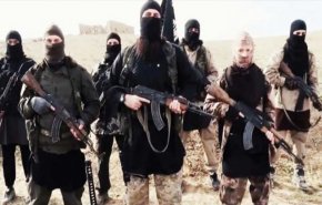 الاستخبارات البريطانية: 'خلايا التماسيح' ستضرب اوروبا عما قريب 