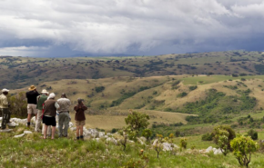 اختطاف سائحين فرنسيين ومقتل مرشدهم المحلى فى بنين