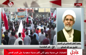 تصريحات نظام البحرين حول التسامح هي لإسكات الشارع