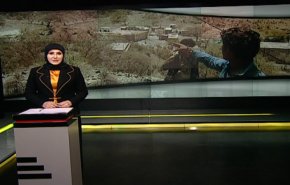 بانوراما: