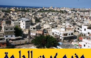 هدوء حذر في عين الحلوة