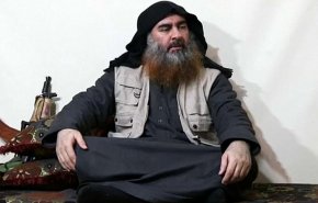 بقرة “داعش” سلخوها