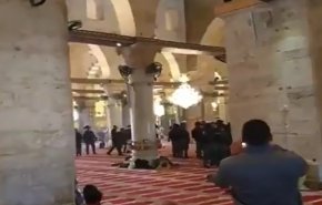 مفتي القدس: العدوان السافر على الأقصى سيرتد على الاحتلال