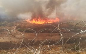 بالصور: اكتشاف الطريقة الخبيثة لاحراق المزارع بالعراق