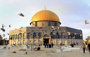 الاحتلال يقرر ابعاد ناشطة عن الأقصى لـ15يومًا