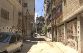 شاهد.. هكذا ستهضم صفقة ترامب الفلسطينيين