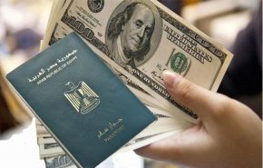 مصر تمنح الجنسية المصرية للأجانب... لكن بشرط !
