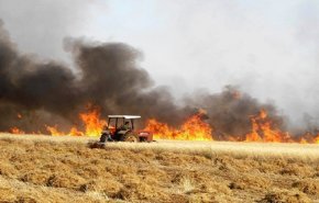 قوات الحشد الشعبي تخمد حرائق كبيرة نشبت غربي نينوى