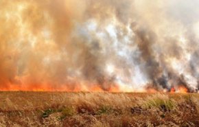فيديو صادم.. احتراق مقابر 'الإيزيديين' في العراق