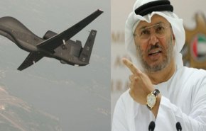 'قرقاش' يعترف بما أعلنه حرس الثورة