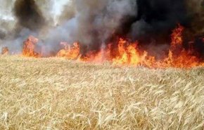 الضباب السام يدفع لإغلاق آلاف المدارس في ماليزيا وإندونيسيا 