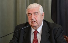 سوريا مستعدة لتقديم كل ما يلزم لدعم صمود الفلسطينيين