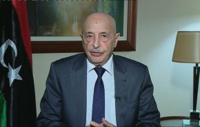 البرلمان الليبي بطبرق يخاطب الرباعية الدولية حول التدخل التركي