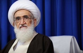 ادعياء الدفاع عن حقوق الانسان هم رعاة الارهابيين