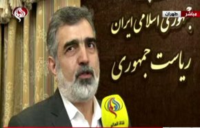 كمالوندي: تقدمنا بالتخصيب مرهون بمدى تعاون الشركاء الاوروبيين