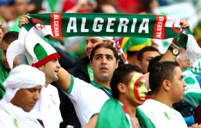 مشاهد توثق الفرحة 