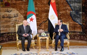 السيسي يبحث مع الرئيس الجزائري التعاون الثنائي والقضايا المشتركة