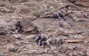 قتلى وجرحى بصفوف المرتزقة بنيران الجيش اليمني بعسير