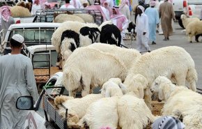 السعودية تضع 8 ضوابط لدخول 