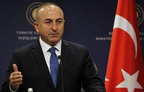 تركيا تريد تعزيز وجودها الدبلوماسي مع آسيا لهذا السبب