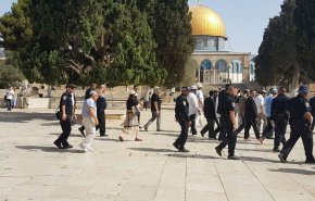 مستوطنون يقتحمون الأقصى ومنظمات إسرائيلية تطالب بإغلاقه بـالعيد