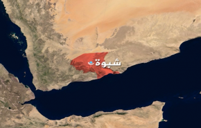 شاهد/ الإمارات تذبح الأسرى في شبوة على طريقة داعش والقاعدة