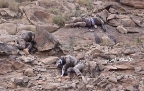 التنكيل بالجيش السعودي في جبهتي عسير وجيزان