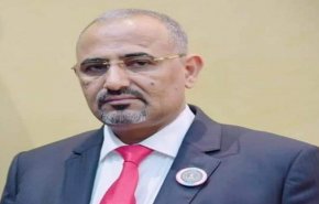 اول رد فعل لعيدروس الانفصالي على سقوط شبوة 