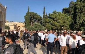 وزير إسرائيلي برفقة مستوطنين يقتحمون الأقصى