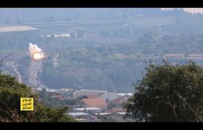 جيش الإحتلال ينشر تفاصيل اضافية عن عملية افيفيم
