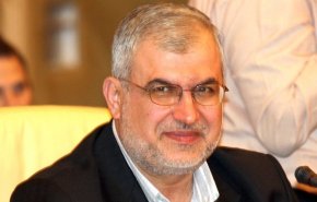 رعد: المقاومة ضمانة لبنان
