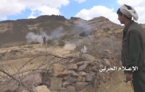 مسلحو التحالف يتكبدون خسائر فادحة في البيضاء والجوف