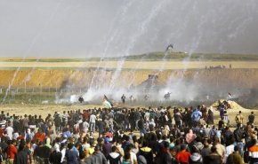 بالفيديو.. فلسطين تختار المقاومة وترد على 