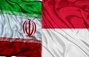 اندونيسيا ترغب بتعزيز التعاون مع ايران في قطاعي صناعة الادوية وخلايا المنشأ