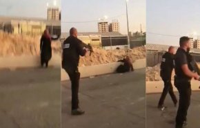 التعرف على هوية المواطنة التي أعدمها الاحتلال قبل 5 أيام