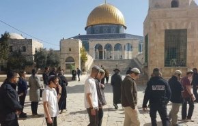 شاهد.. متطرفون يهود يقتحمون الأقصى بحماية شرطة الإحتلال
