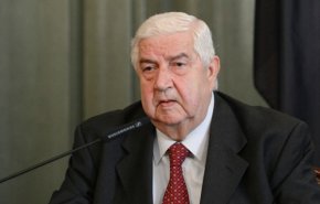 المعلم يكشف موعد الإعلان عن رئيس اللجنة الدستورية