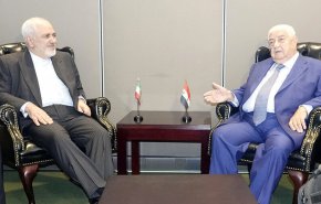 ظريف يلتقي عددا من وزراء خارجية دول العالم بنيويورك
