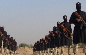 انتشار سندی از آمار دقیق تروریست های خارجی در سوریه؛ ترکها صدرنشین هستند