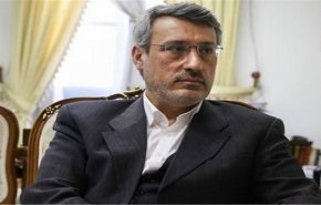 بعيدي نجاد يؤکد ضرورة تجنب اصدار حكم متسرع حول سقوط الطائرة الاوكرانية
