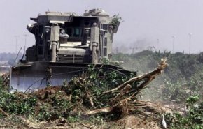قوات الاحتلال تشن حمله واسعة لتجريف أراضي الفلسطينيين