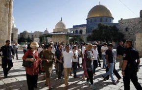 189 مستوطنا اقتحموا باحات المسجد الأقصى المبارك