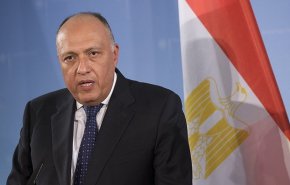 الخارجية المصرية للأكراد السوريين: مقاومة العدوان التركي حق شرعي