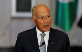 ابو الغيط يهاجم تركيا بسبب سوريا!