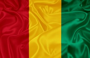 القبض على ناشطين معارضين في غينيا 