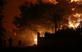 'شيشة'.. تلتهم غابات وتحول سماء لبنان وسوريا الى كتلة لهب!