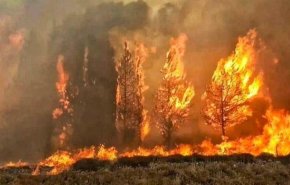 بالصورة... موقف سوري خلال حرائق لبنان يشعل مواقع التواصل